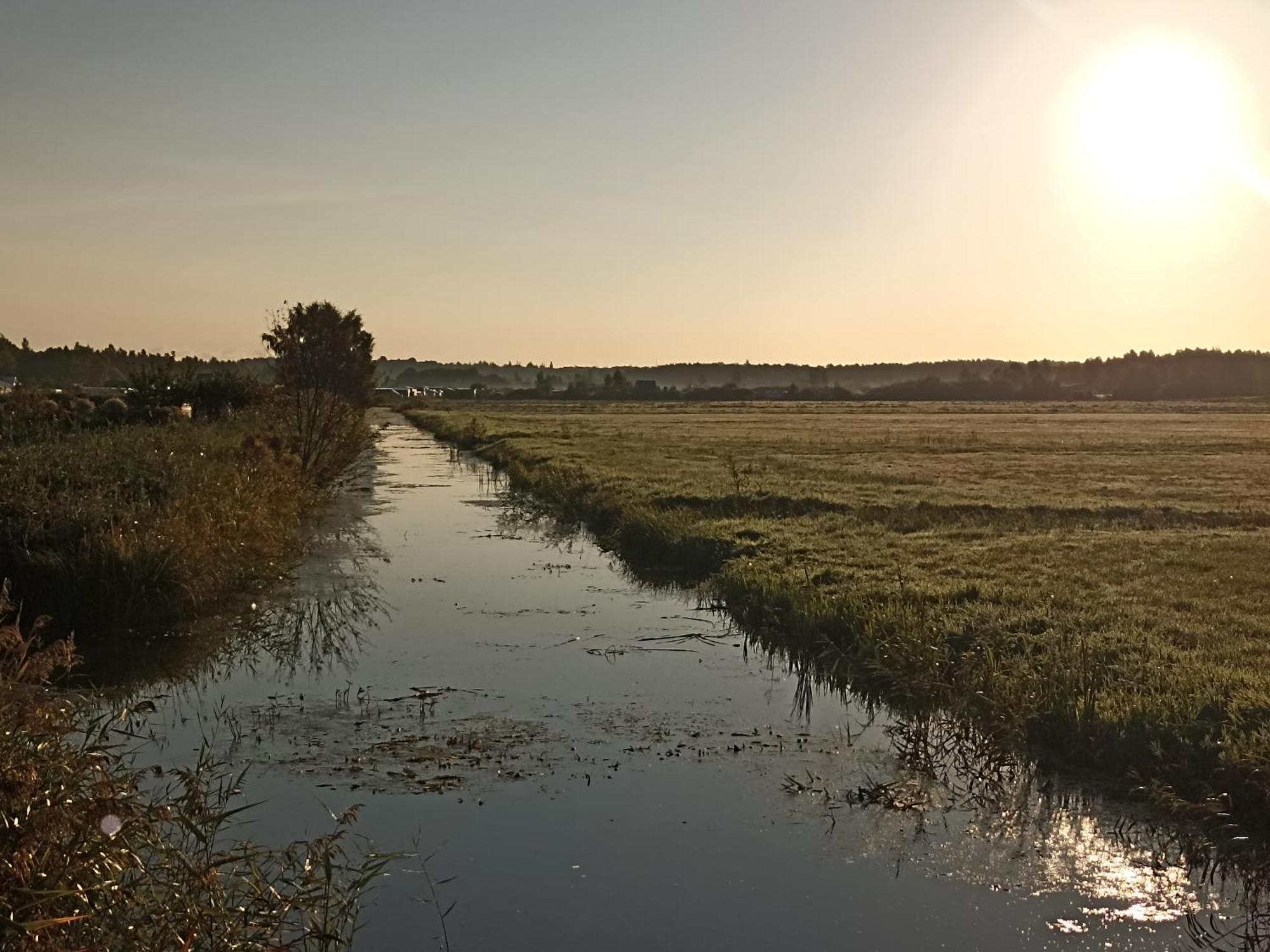 Pokoje Goscinne Dominik Ostrowo  Exterior foto